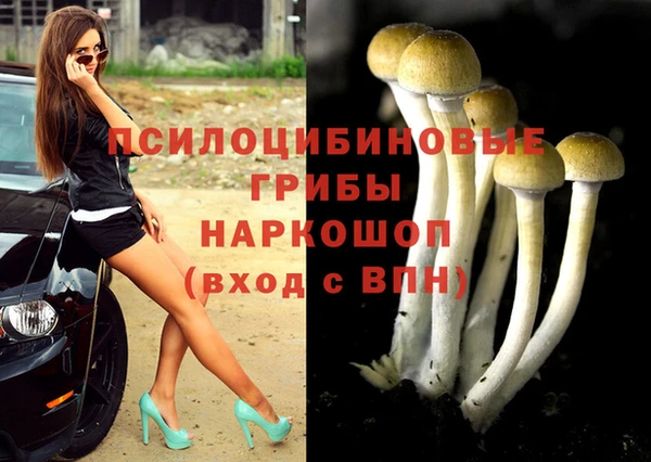 кокаин премиум Богданович