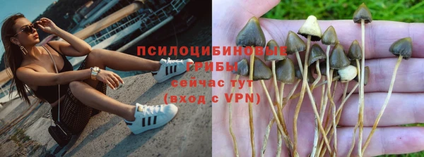 экстази Богородск